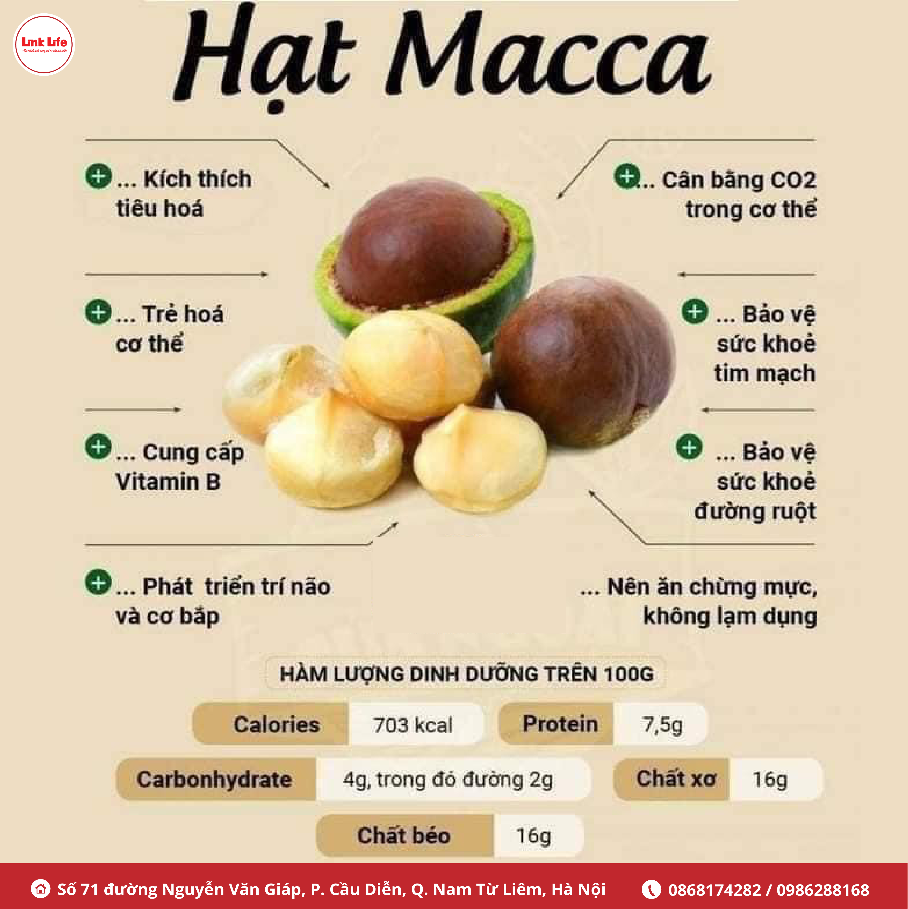 MACCA - hoàng hậu của quả khô
