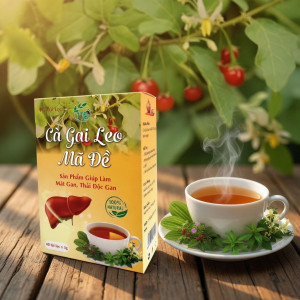 Trà cà gai leo mã đề